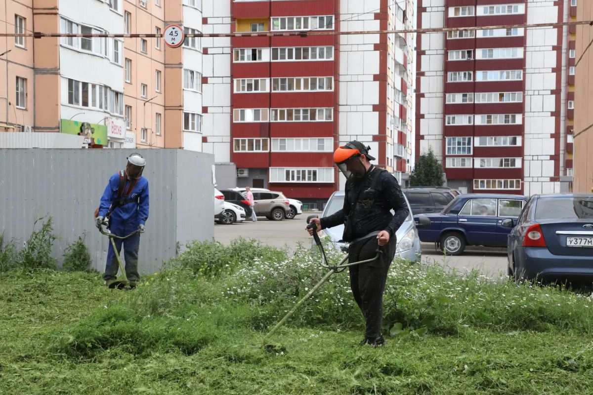 В Магнитогорске продолжается покос травы на придомовых территориях