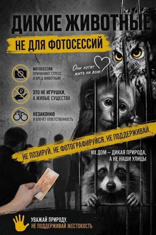 Несколько минут для вас — постоянный стресс для них