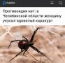������������ ���: ���������� ������� ���� ����� �� ������� � ����������