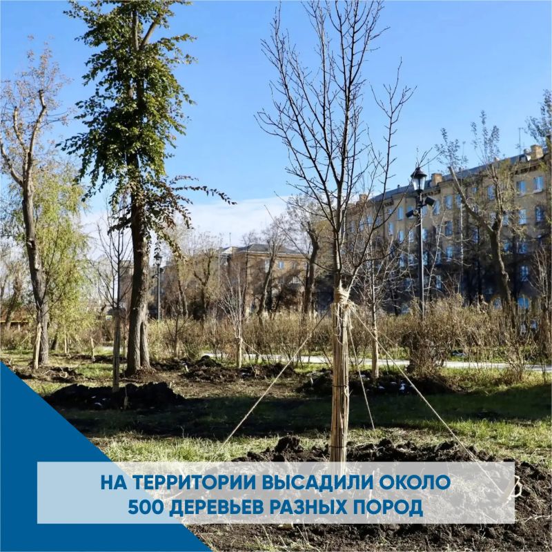Сквер Металлургов - одно из старейших и самых излюбленных мест в городе Сквер Металлургов - одно из старейших и самых излюбленных мест в городе