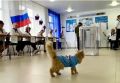 Южноуральцы приходят голосовать со своими животными