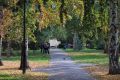 ���� ������ �������� ��������, �� �� ����� ����� ��������� ������� ����� ����