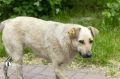 � ����������� ������� ������� ������� 50 ����� ������ �� ��������� ������