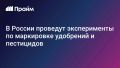 � ������ �������� ������������ �� ���������� ��������� � ����������