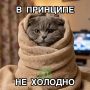 ����� ����� ��������� ������