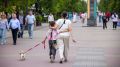 Свыше 30 тысяч челябинских родителей оформили выплату к пенсии за детей