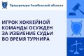 Саткинский городской суд вынес приговор по уголовному делу в отношении 33 - летнего жителя Челябинска