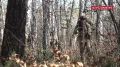 На полигоне "Чебаркульский" стартовал практический этап специальных учений ОДКБ "Поиск-2026"