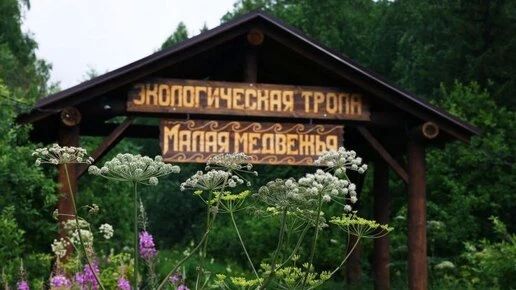 Инспекторы спасли шесть туристов от медведя в нацпарке Челябинской области