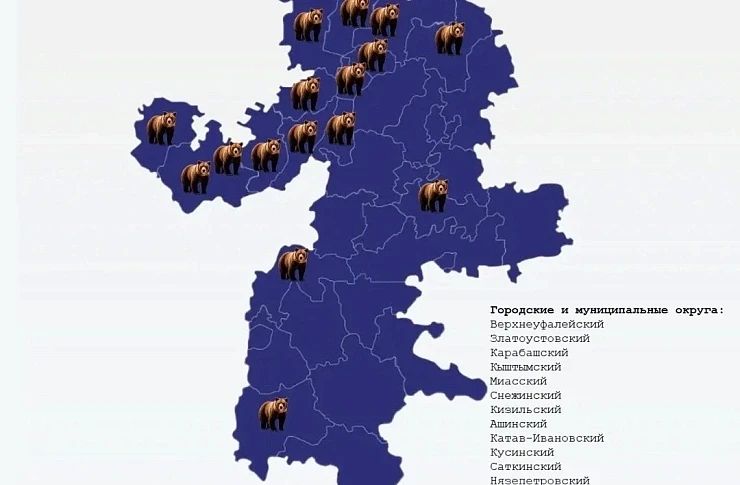 Народный фронт нанёс на карту Челябинской области «зоны повышенного риска встречи с медведем»