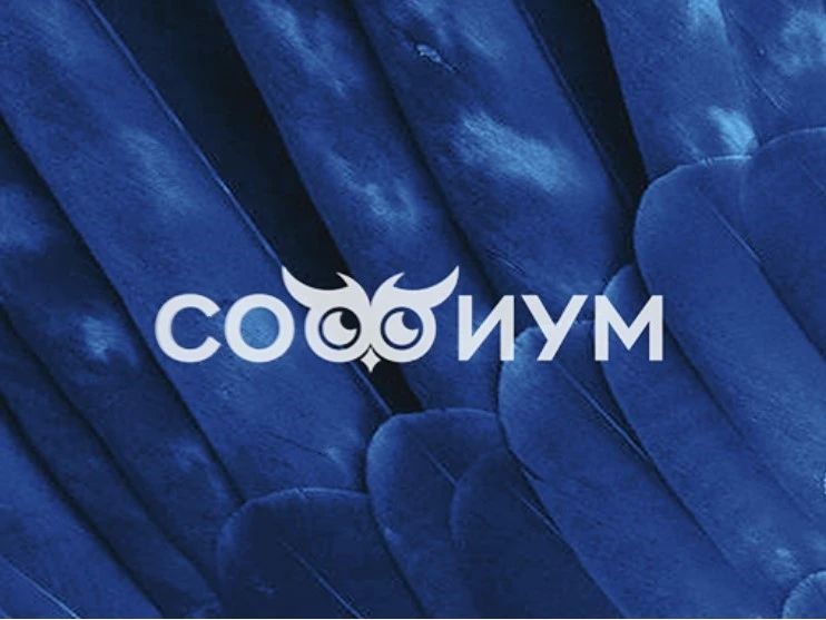 НАЧИНАЕМ ПОДГОТОВКУ К «СОФИУМУ»!