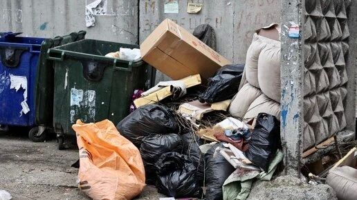 Штрафом до 250 тысяч пригрозили за ветки и кирпичи на мусорках в Челябинске