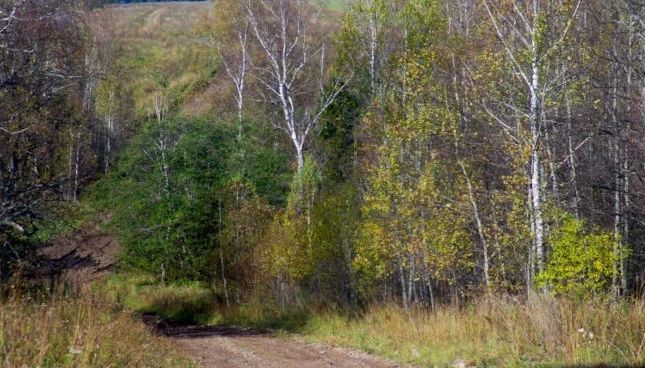 В Пластовском районе мировой судья признал виновным в нарушении земельного законодательства собственника трех земельных участков сельхозназначения
