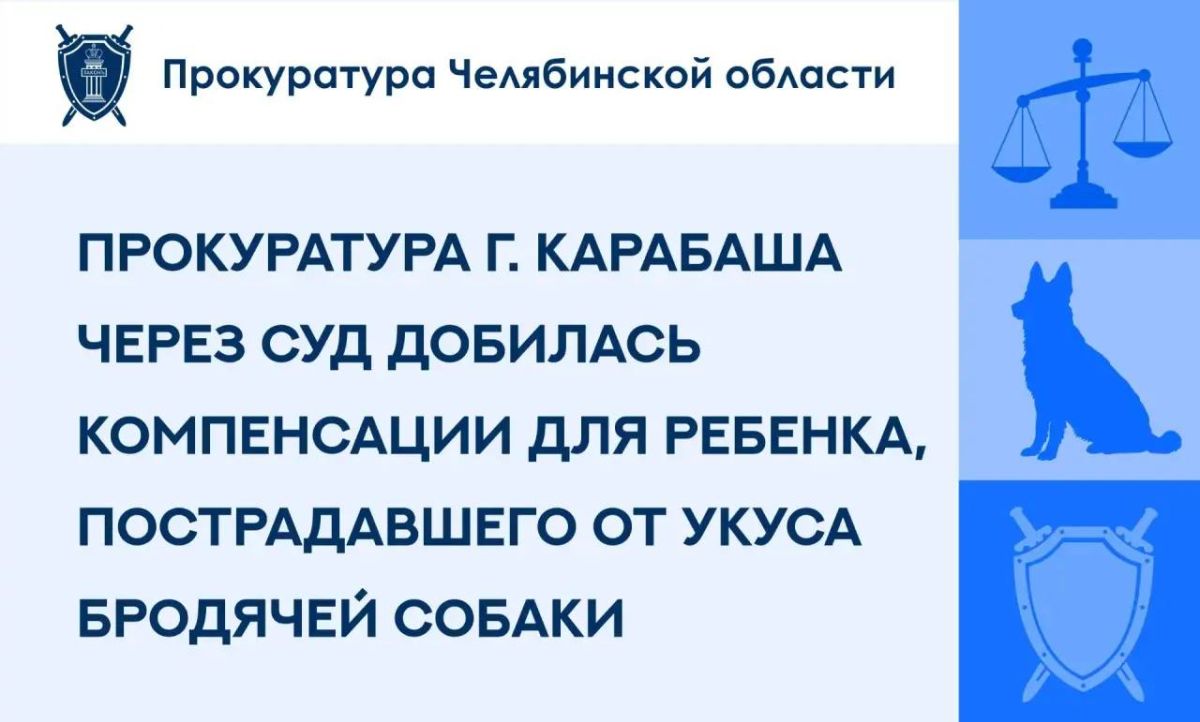 Прокуратура г. Карабаша провела проверку по обращению законного представителя несовершеннолетнего о причинении телесных повреждений безнадзорным животным
