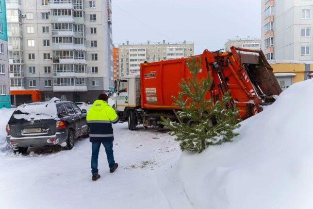 В Челябинской области в следующем году серьезно изменятся нормативы накопления твердых коммунальных отходов