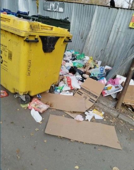 Жители Ленинского района Челябинска ужаснулись виду контейнерных площадок Жители Ленинского района Челябинска ужаснулись виду контейнерных площадок