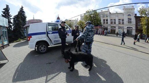 Полиция раскрыла 115 наркопреступлений в ходе акции в Челябинской области