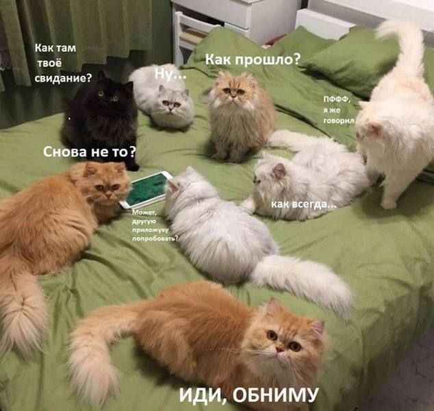 Челябинки назвали сумму мужских затрат на первое свидание
