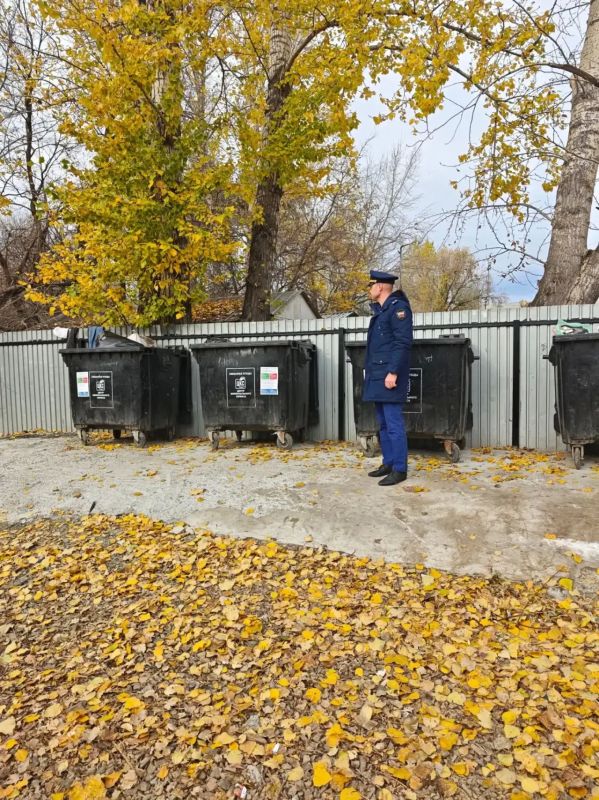 По поручению заместителя Генпрокурора России проведена проверка информации о нарушениях законодательства в сфере обращения с отходами в пос