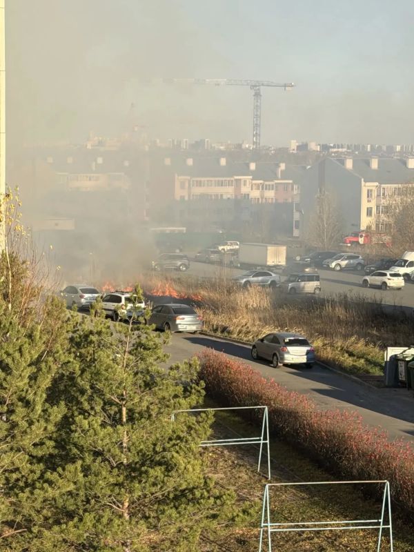 Белом Хуторе возле домов №3 и 4 по улице Светлой загорелась трава