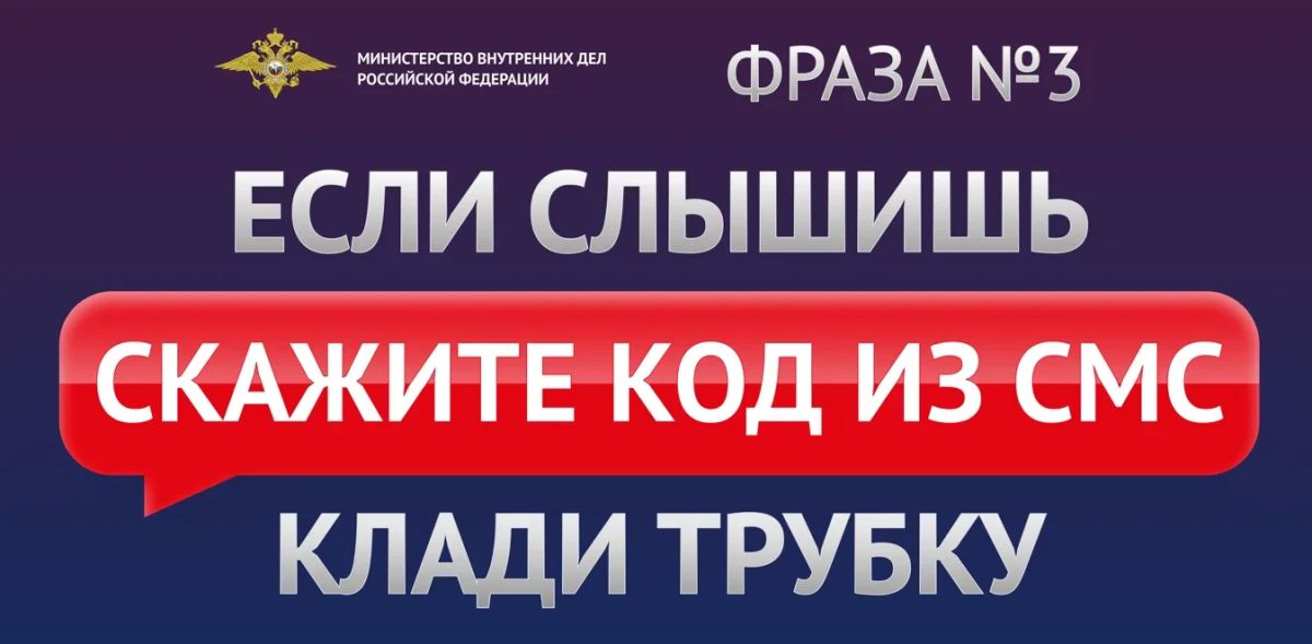 В Челябинске у матери погибшего участника СВО мошенники похитили порядка 18 млн рублей