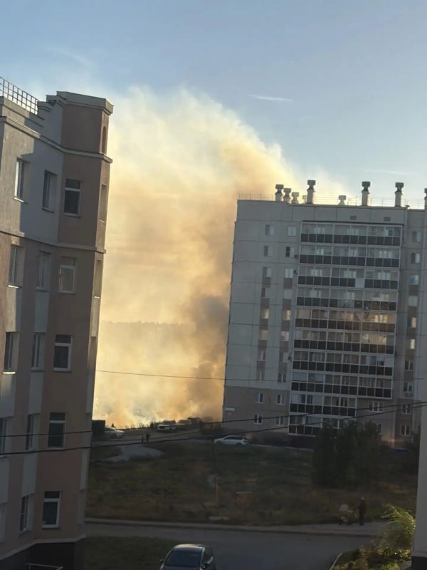 Белом Хуторе возле домов №3 и 4 по улице Светлой загорелась трава Белом Хуторе возле домов №3 и 4 по улице Светлой загорелась трава