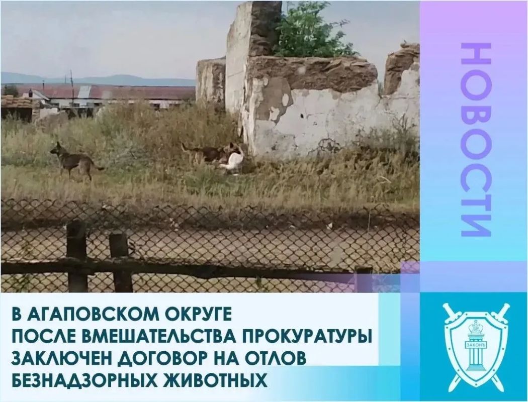 Прокуратура Агаповского района в ходе мониторинга средств массовой выявила факт распространения собак, имеющих признаки агрессивного поведения, в с. Верхнекизильское