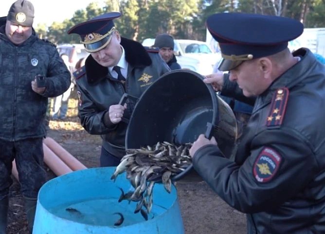 В Шершневское водохранилище выпустили более 500 тысяч мальков сазана