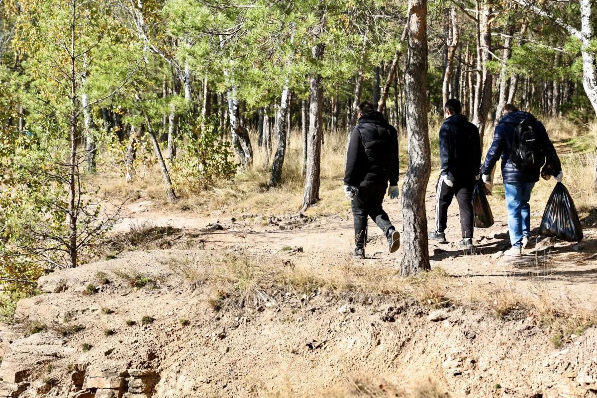 Участок у стадиона «Инга» включат в состав городского бора Челябинска