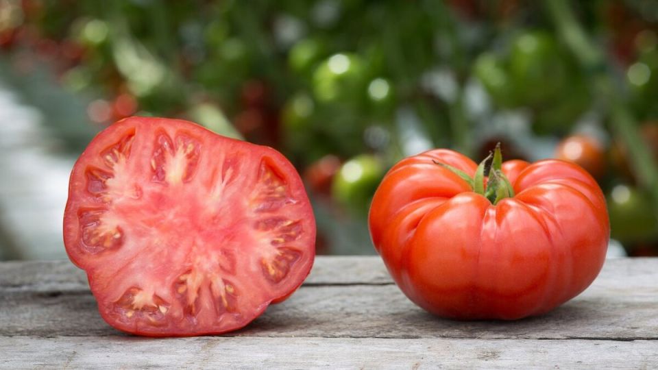 Мясистые томаты: вкус и польза, которые впечатляют