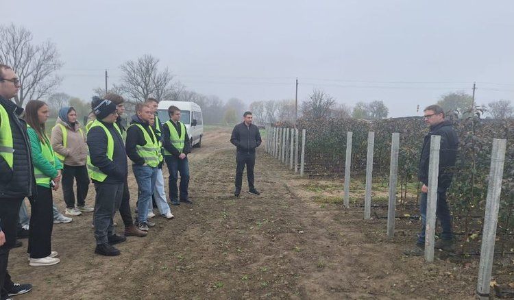 ��������� ��������� � ���������� �������� �������� ������: �� ����� � ��������