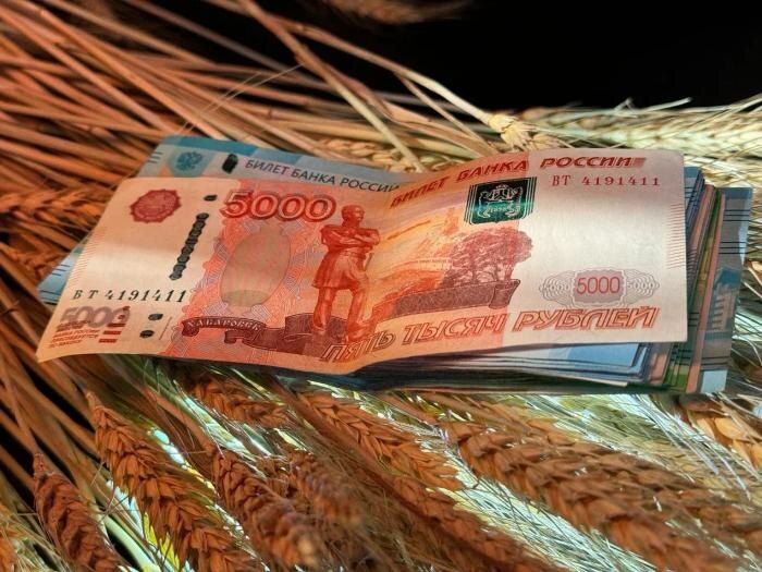 Россияне строят финансовые планы на 2026 год: что станет приоритетом?