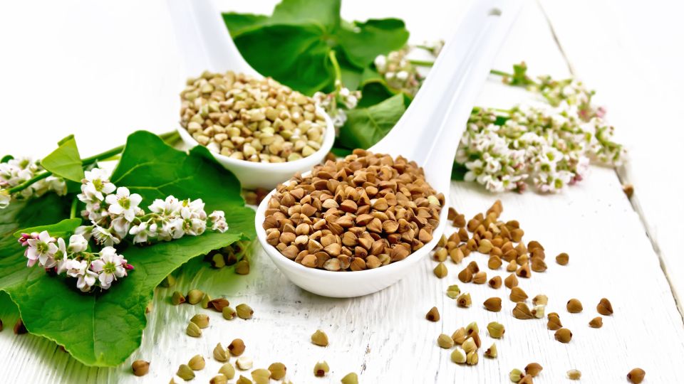 Всего один совет и вкус гречки преобразится: шеф-повар раскрыл секрет рассыпчатой каши