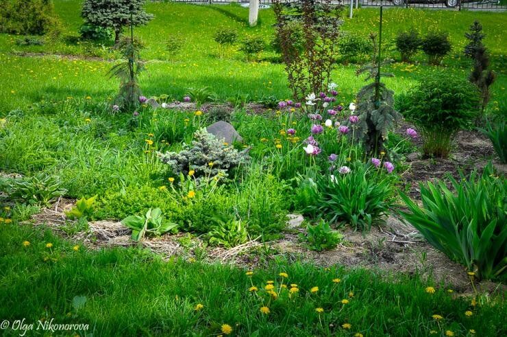 Пейзажный стиль: как создать ваш уникальный уголок природы