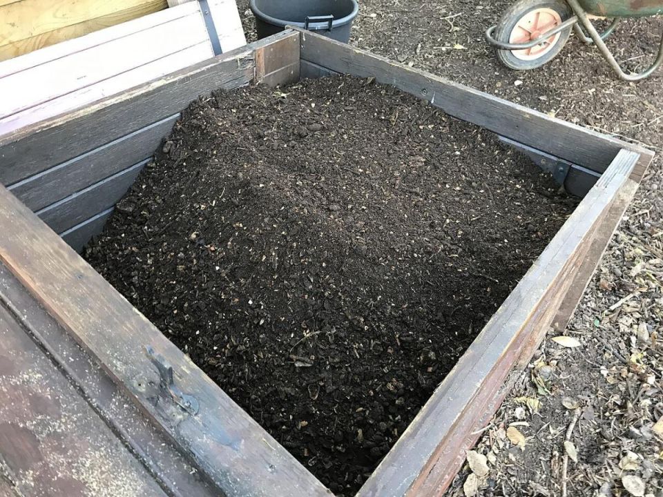 Как создать идеальный компост без неприятных запахов и вредителей