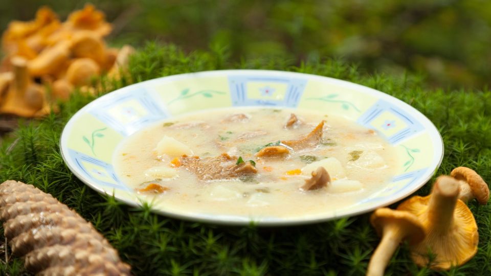 Грибной суп времен СССР: быстро, дешево и вкусно