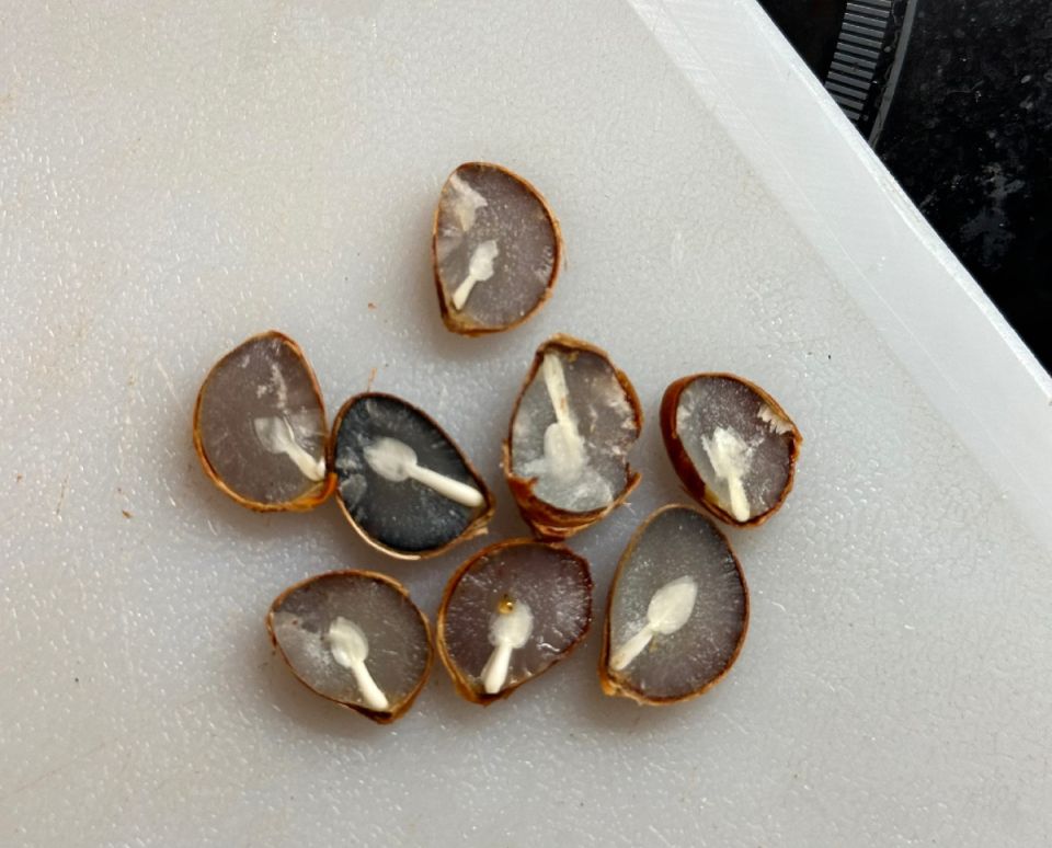 ��������� ����������� ������� � �����