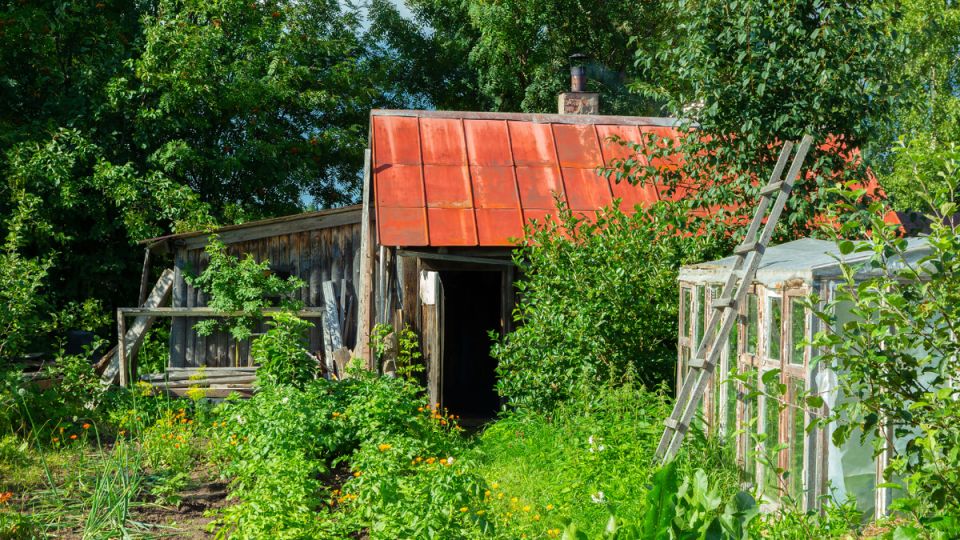 ��� ���� ������ ����� ������� � ���������� ����: �������� ������� �� �������