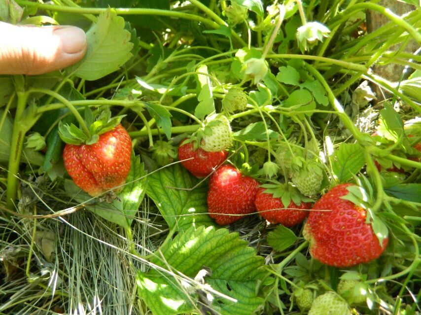 ������� �������� ����� �� ����������: ��� ����������� ����� � ���������� ������