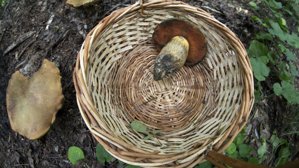 ��� ��� �������� ����� ������� ���� �� �������: ����� �������� ������� �� ���������