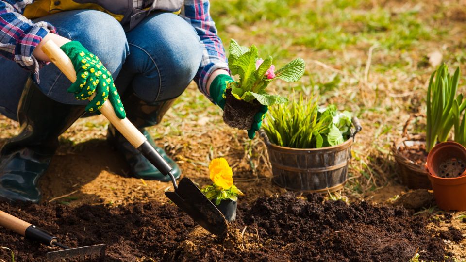 ��� ������ ��� ��������� ����� ��������� ������ ������: ������ ����� �� �����