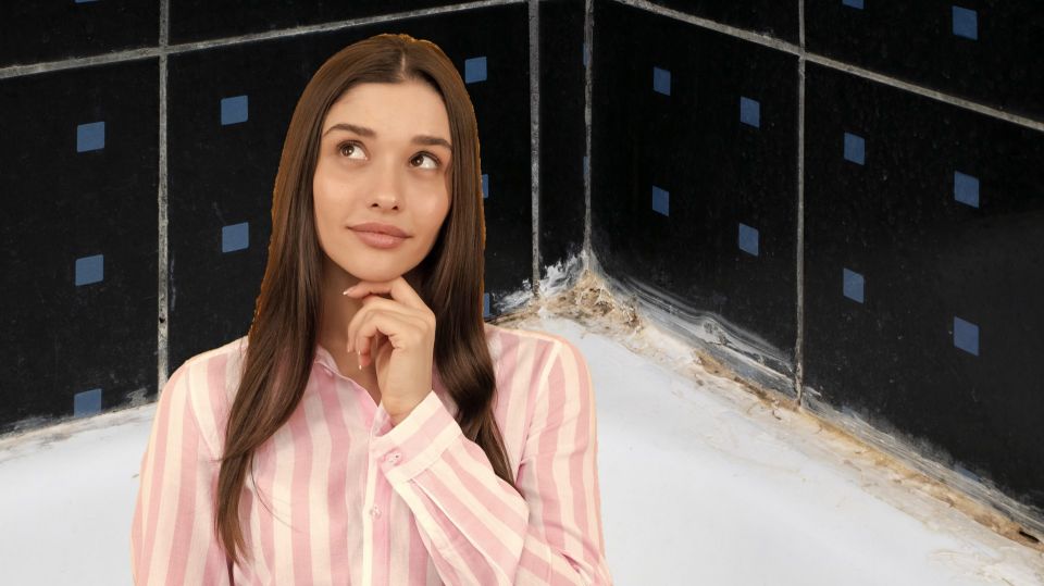 ������������ � �������� � ������ ��������: ����������� �������� ������