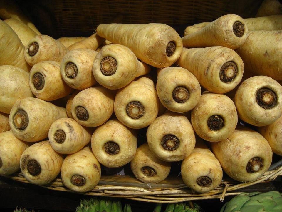 ������� �������� �� ����: ��� ������ ���������� ����� �������� ����� ����