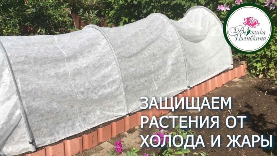 ��� �������� ��������� �������� ��������� � 2026 ����: �������� ������ ��� ��������