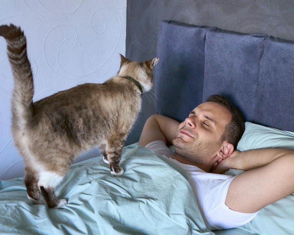 ��� ���������� ������ ������������ ��� � ����: ������ ����������