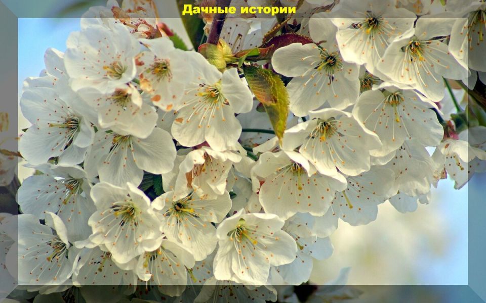 ��� �������� ��������� ��� �������: ������� ��������� ������