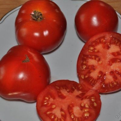 ����� ������� ���� � ��� �������� ������� �� ����