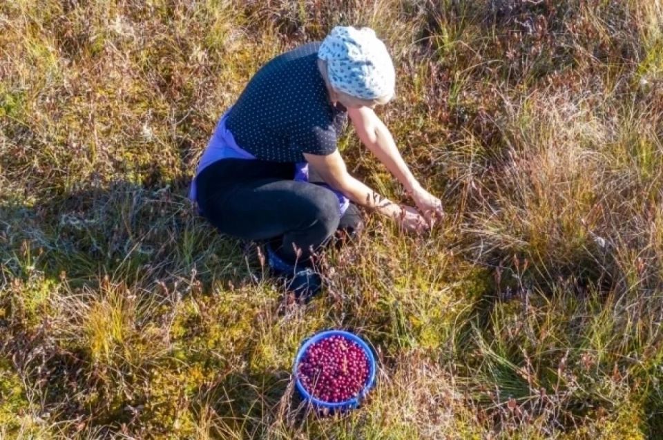 ����� ��� ������: �������� �������� ������� ���������� �� ����� ����