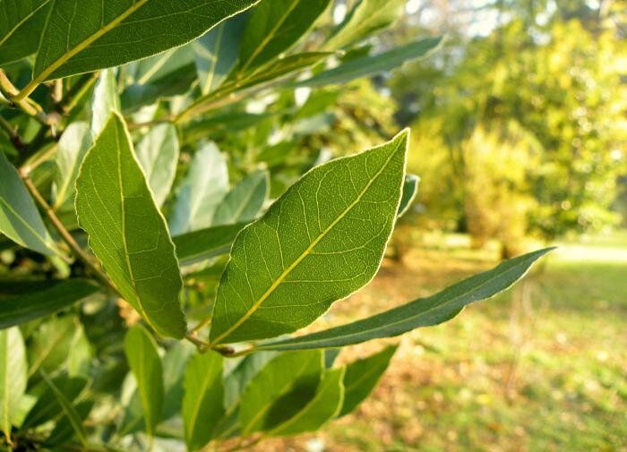 ����������� ��������� ������ �� ����: �������� �� ���?