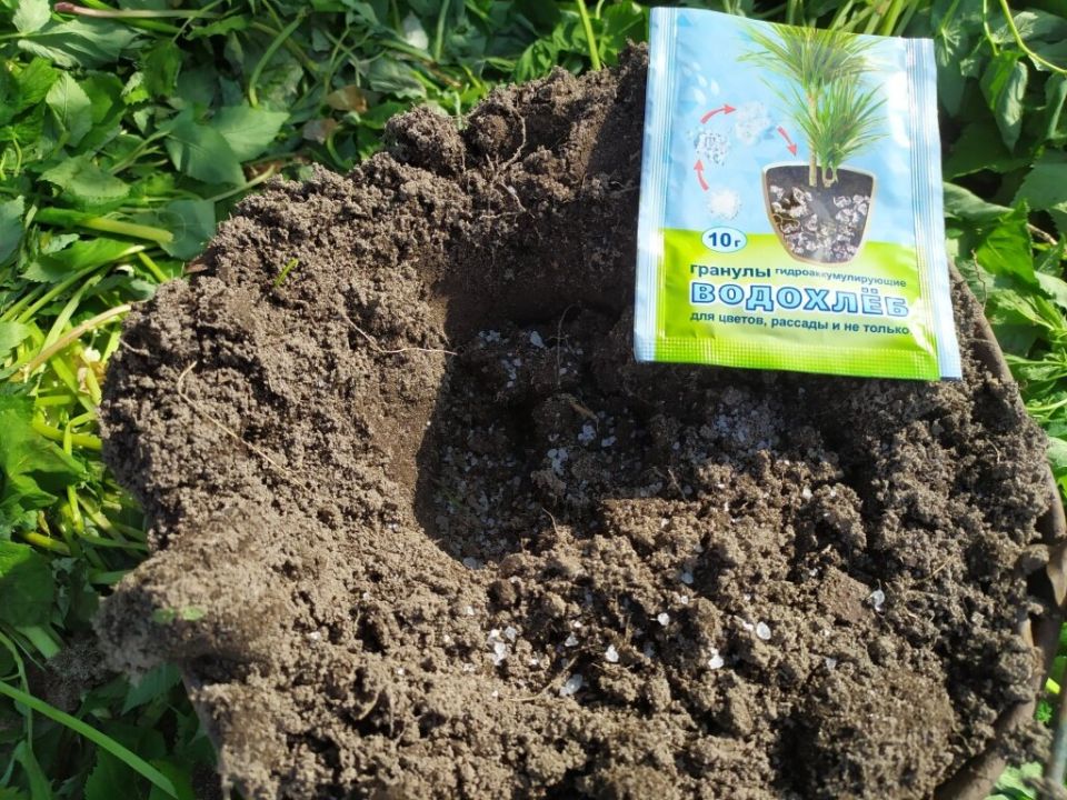 ���������: ��� ����������� ������� � ��������� ����